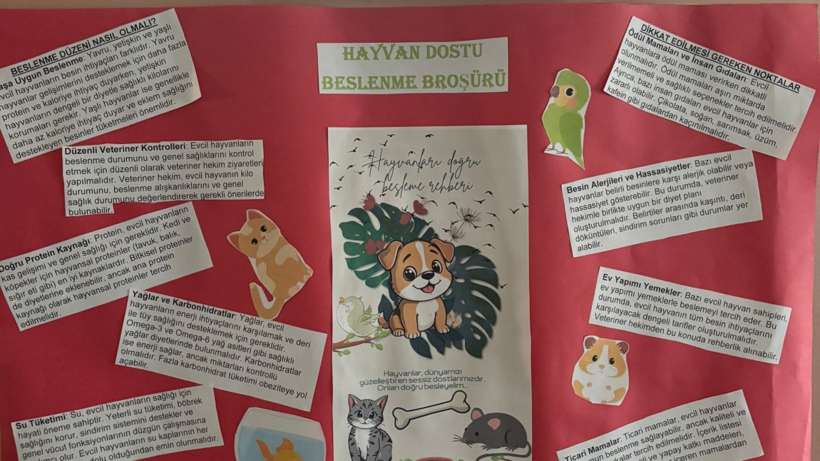 SAĞLIKLI BESLENME YOLCULUĞUM PROJESİ